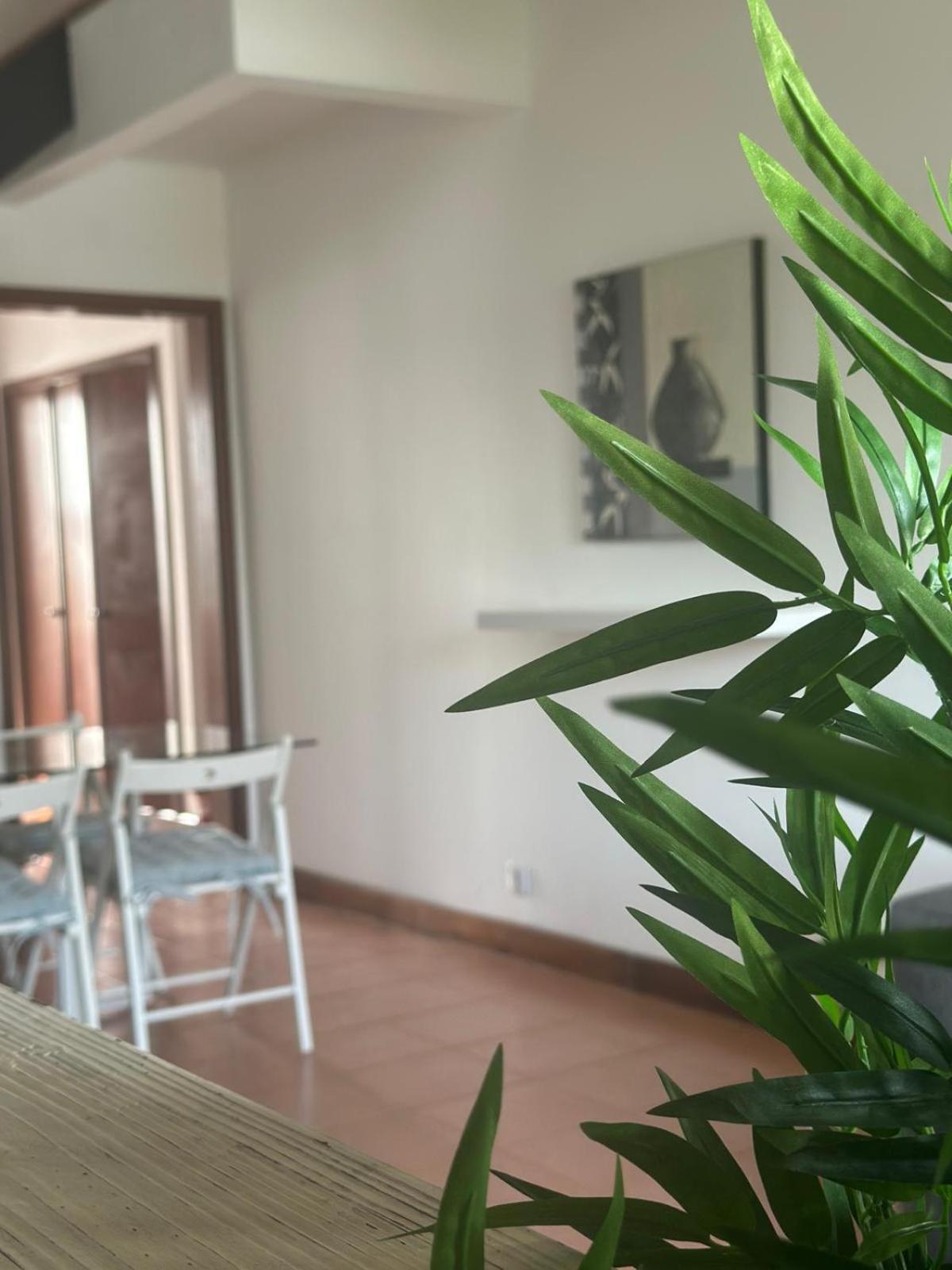 Azores Pedra Apartments - T0 E T1 Ponta Delgada Dış mekan fotoğraf